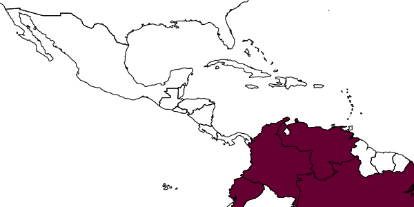 map of Traumatomutilla guayaca     Casal, 1969
